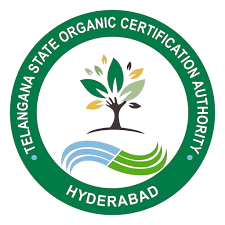 download__3_-removebg-preview (1)